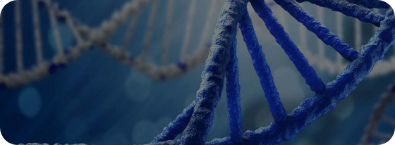 AppNote Miniaturization and Automation of a full-length Single-Cell RNA-seq Workflow